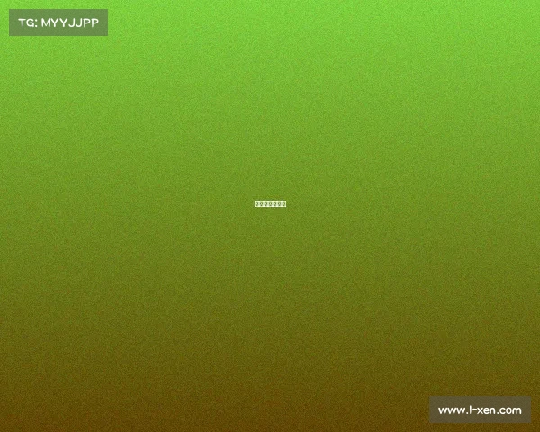 拳击比赛完整版